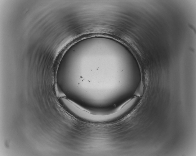 X0000099961069200806131505