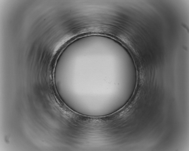 X0000099961070200806131505