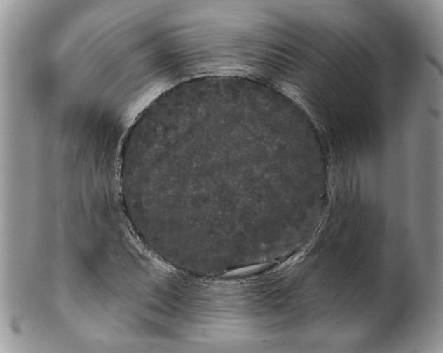 X0000099961071200806131505