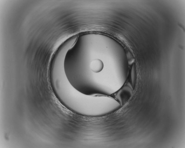 X0000099961072200806131505