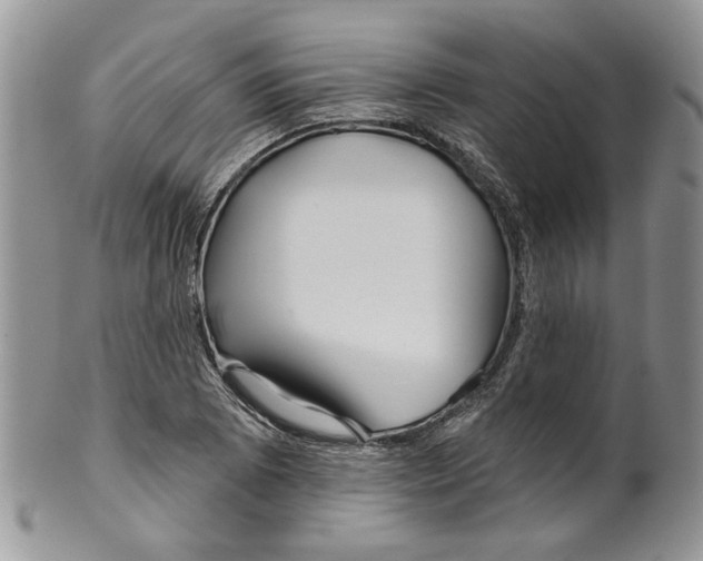 X0000099961073200806131505