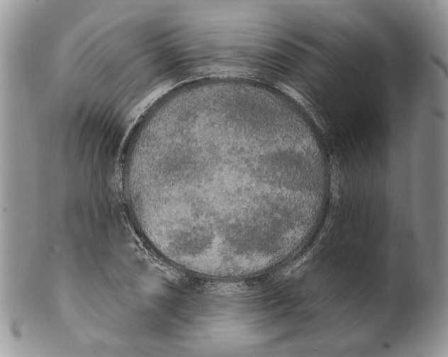 X0000099961074200806131505