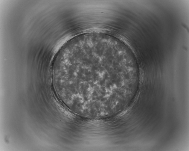 X0000099961075200806131505