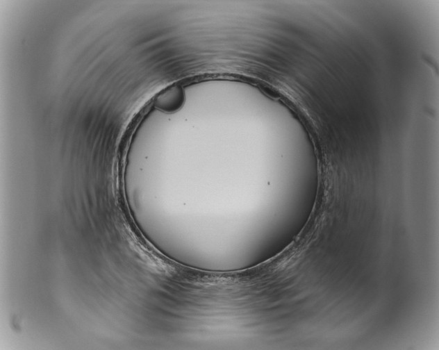 X0000099961076200806131505