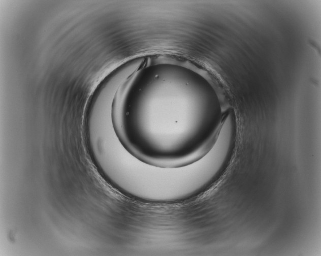 X0000099961077200806131504