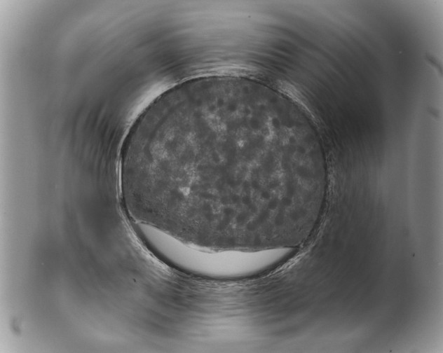 X0000099961079200806131504