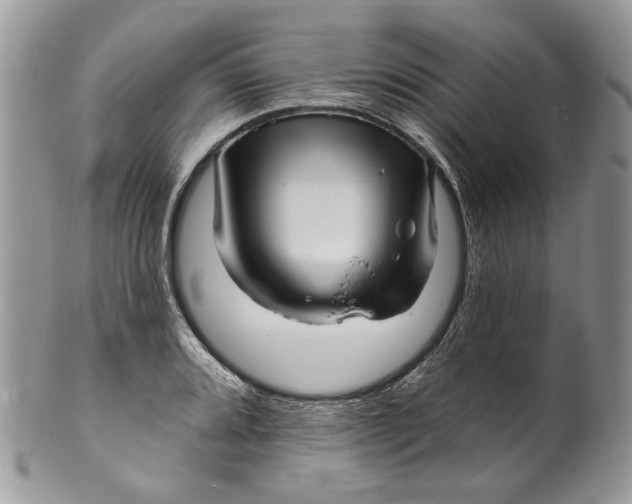X0000099961080200806131504