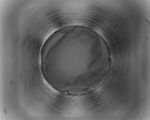 X0000099961084200806131504