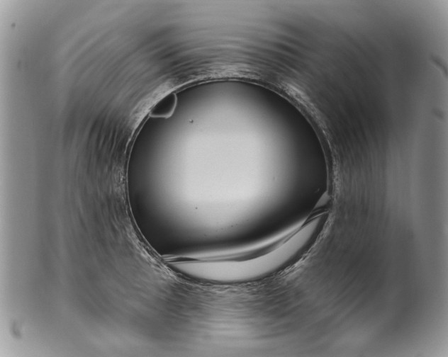 X0000099961089200806131504