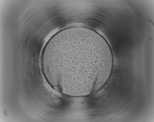 X0000099961090200806131504