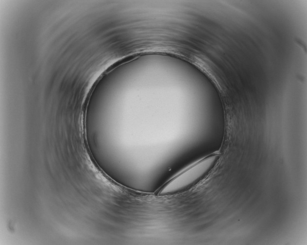 X0000099961092200806131504