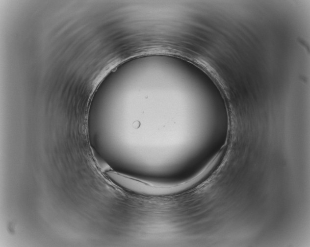 X0000099961097200806131504