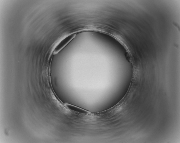X0000099961100200806131504