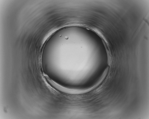 X0000099961101200806131504