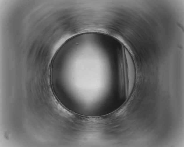 X0000099961102200806131504