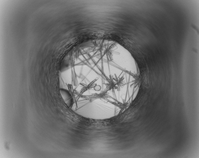 X0000099961105200806131503