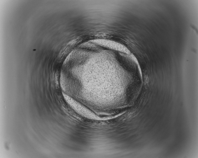 X0000099961106200806131503