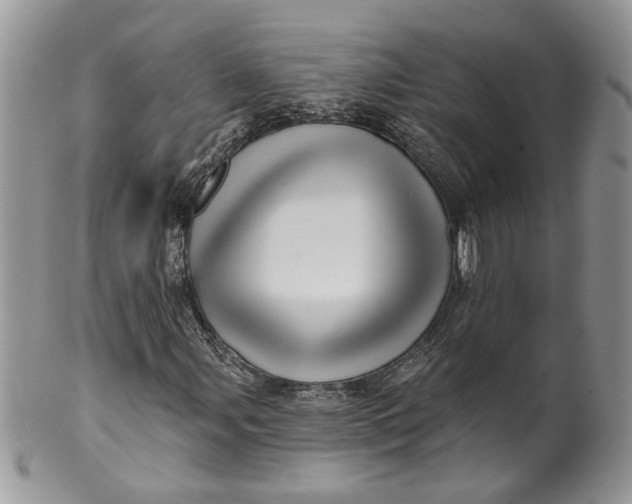 X0000099961107200806131503