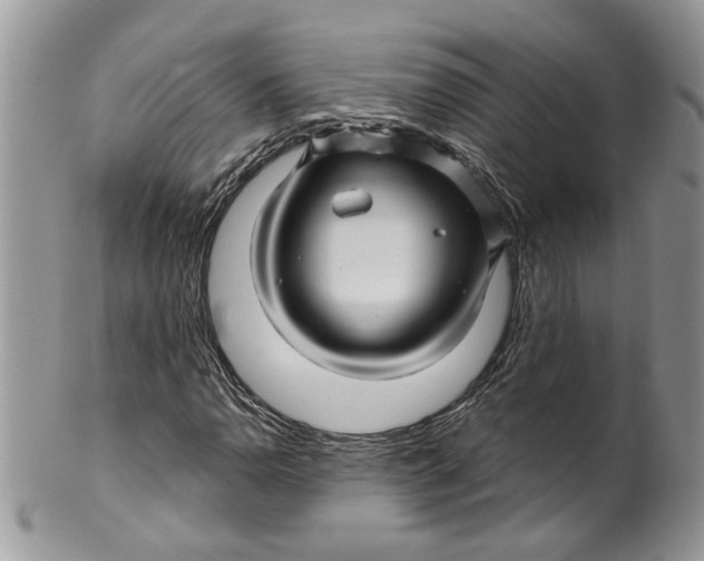 X0000099961110200806131503