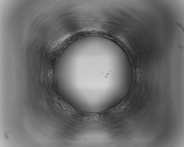 X0000099961111200806131503