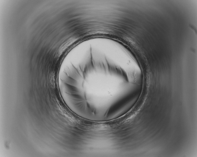 X0000099961113200806131503