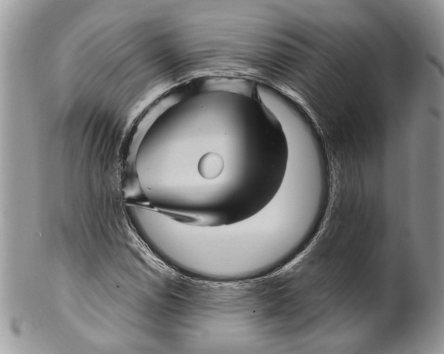 X0000099961114200806131503