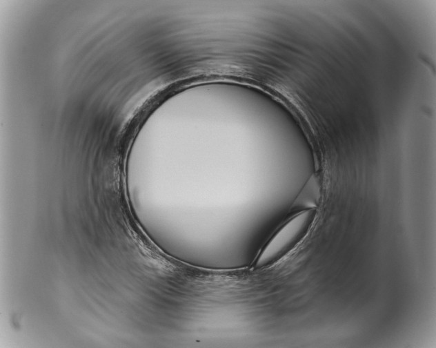 X0000099961115200806131503