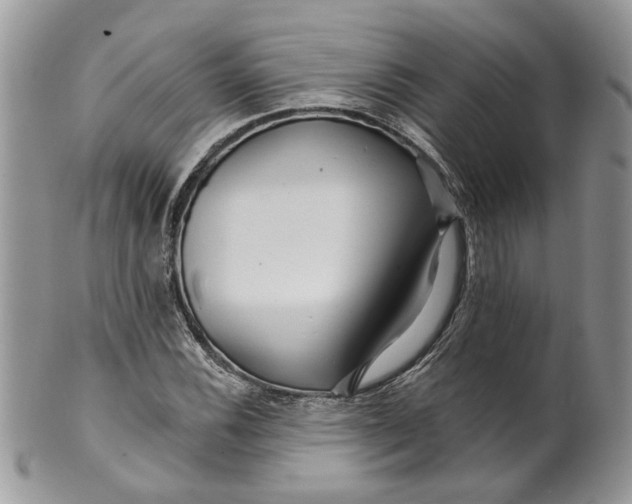 X0000099961116200806131503