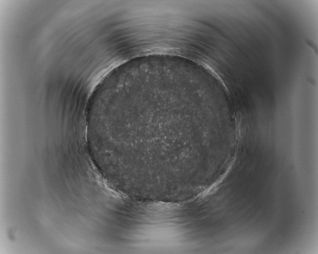 X0000099961117200806131503