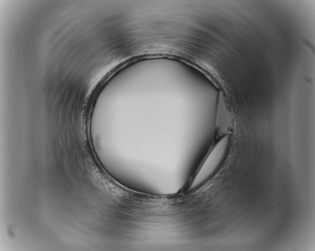 X0000099961120200806131504