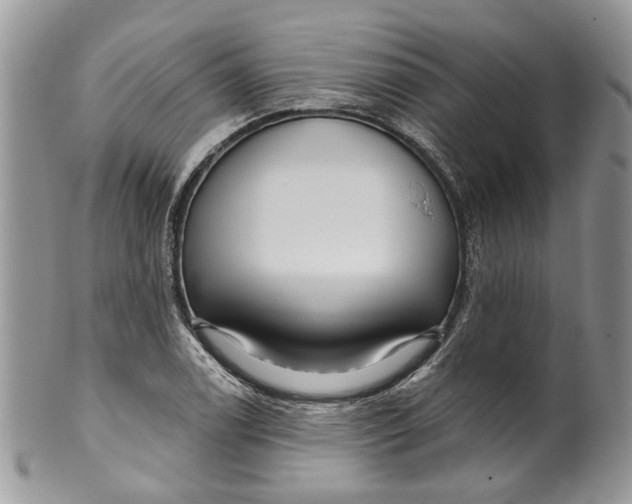 X0000099961122200806131504