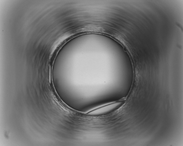 X0000099961123200806131504