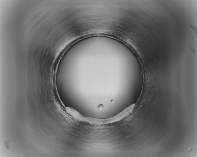 X0000099961124200806131504