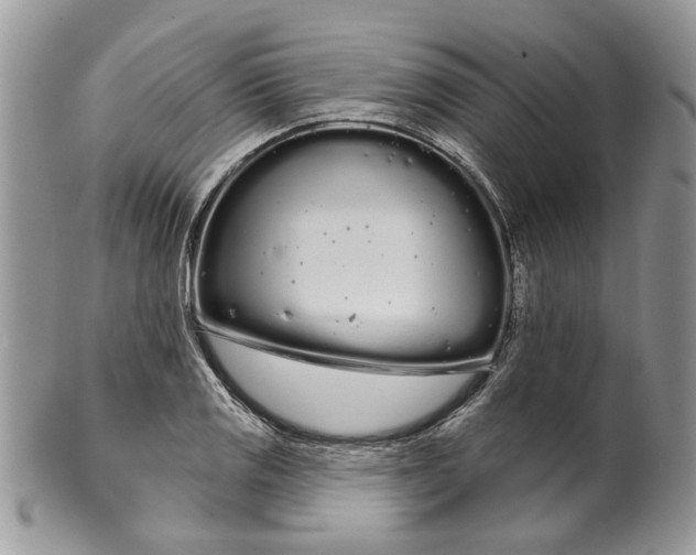 X0000099961125200806131504