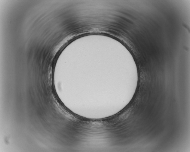 X0000099961126200806131504