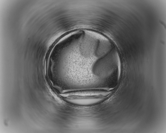 X0000099961127200806131504