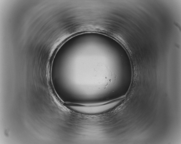 X0000099961128200806131504