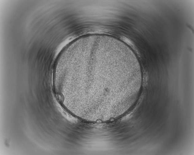 X0000099961130200806131504