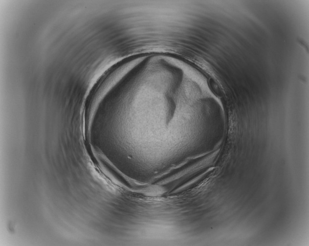 X0000099961132200806131504