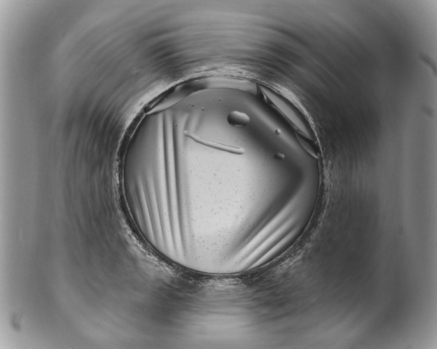 X0000099961133200806131504