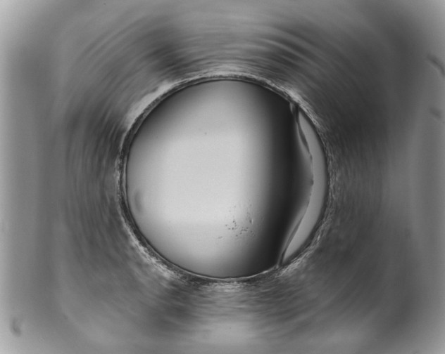 X0000099961134200806131504