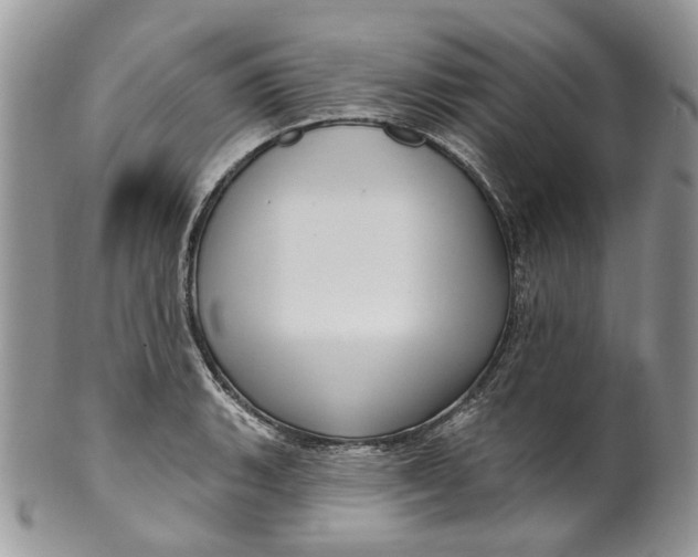 X0000099961135200806131504