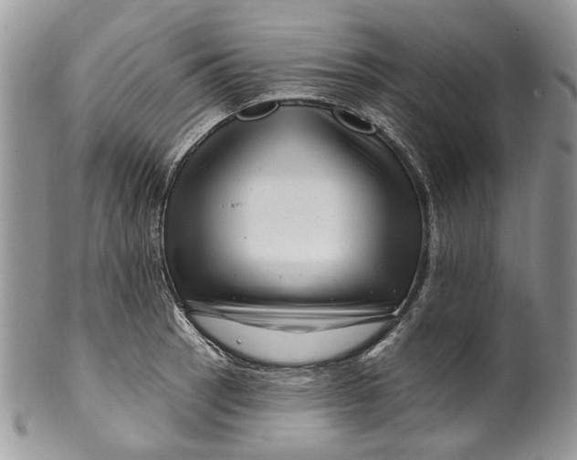 X0000099961137200806131504