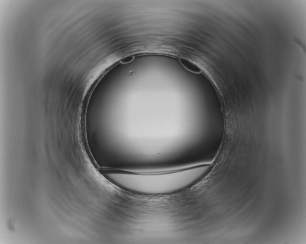 X0000099961139200806131504