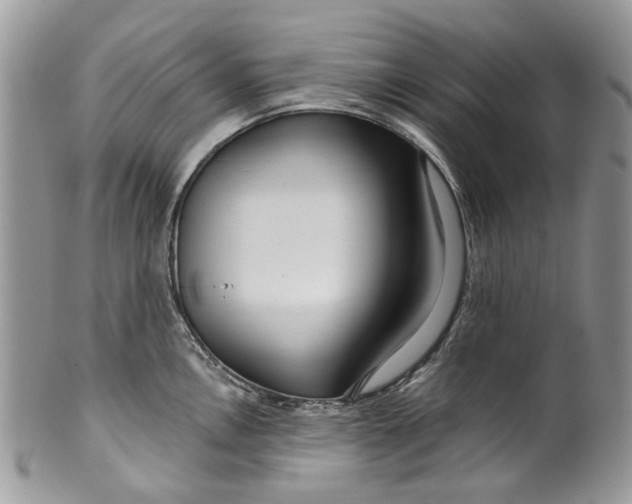 X0000099961146200806131504