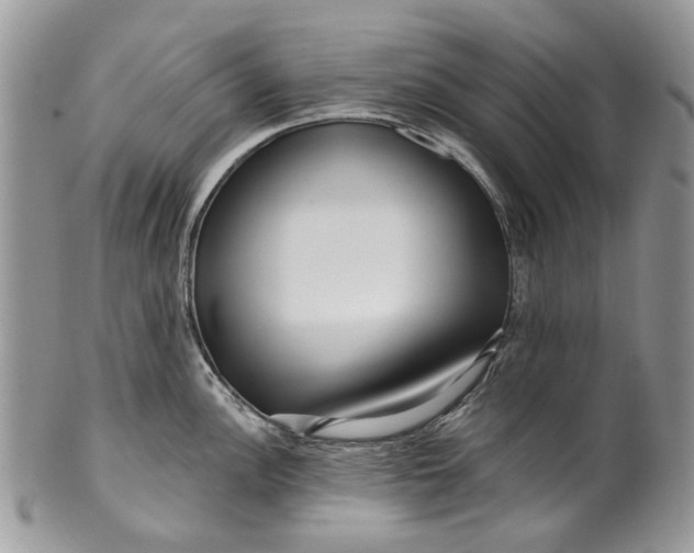 X0000099961148200806131504