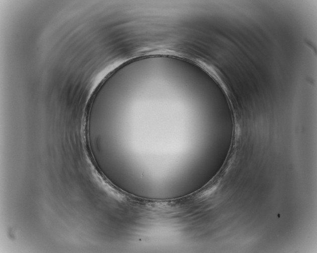 X0000099961149200806131504