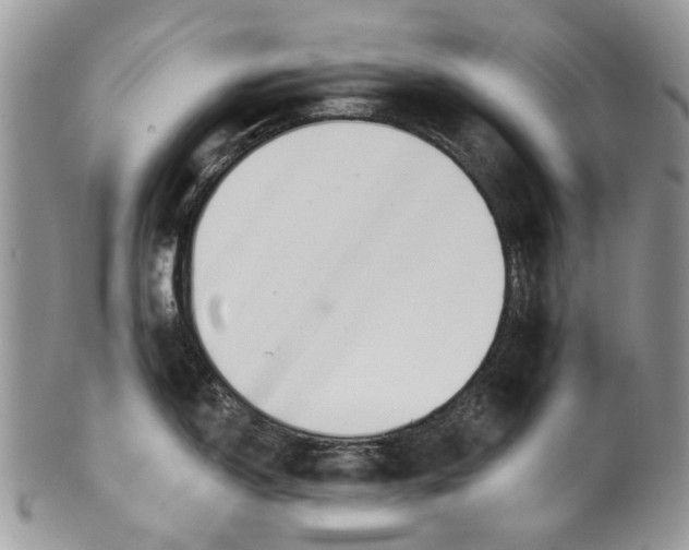 X0000099961150200806131504