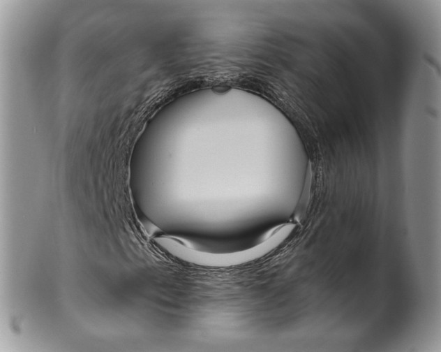 X0000099961153200806131503