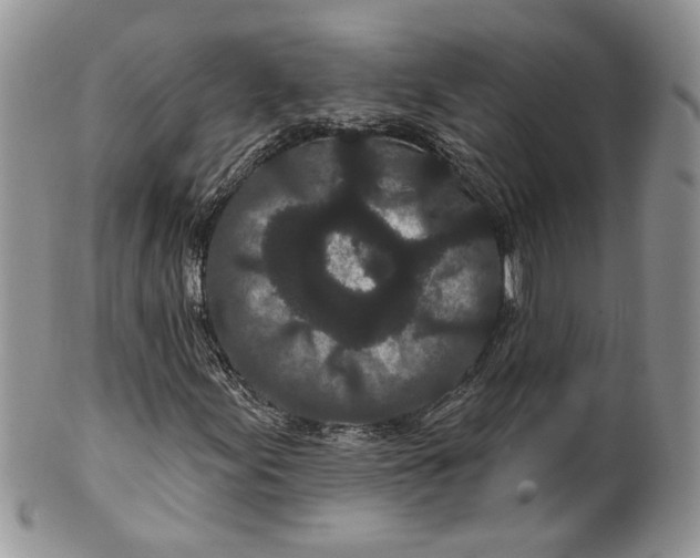 X0000099961155200806131503